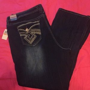 Plus Macy’s Hydraulic Jeans